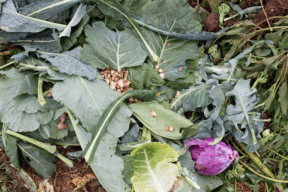 Compost
